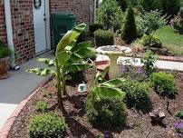 How to Use the Plant Toolbox E
