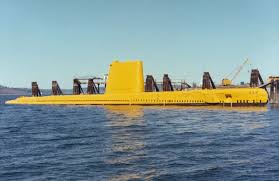 Image result for Yellow 1976 Fleet