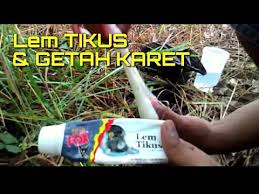 Check spelling or type a new query. Membuat Pulut Burung By Gopel Channel