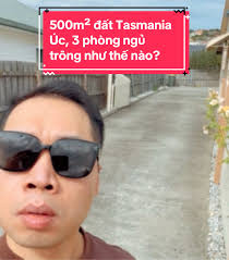 Steve Lew Real Estate