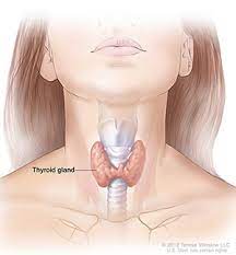 Thyroid Disease & Pregnancy | Niddk
