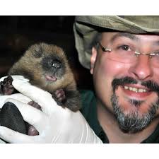 Rewilding and its effects