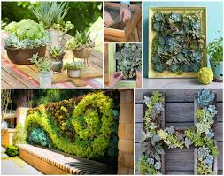 Explore unique framed wall art and décor at everyday low prices and use our store locator to find the nearest at home. Diy Living Succulent Picture Wall Decor