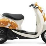 Image result for how much does it cost to repaint a scooter