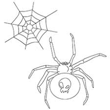 The female tarantulas are bigger than their male counterparts. Top 10 Free Printable Spider Coloring Pages Online