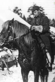 A Mounted Second Lieutenant Of The Finnish Army During The Winter War The Finns Had Three Regiments Of Cavalry At Second Lieutenant War Horse Military History