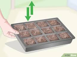 This soil mix will give your seedlings a healthy start to life! 3 Ways To Make Your Own Seed Starting Mix Wikihow