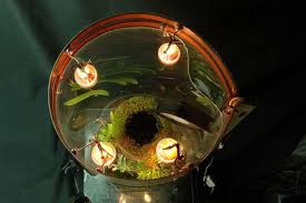 Nanovivarium From Top Light Fixtures Naturalist Vivarium