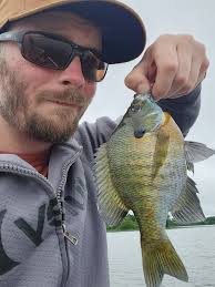 Bountiful panfish harvest from Dog Creek Reservoir