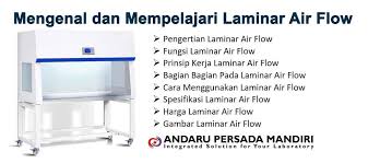Pengertian lemari menurut para ahli. Laminar Air Flow Pengertian Fungsi Prinsip Kerja Dan Bagian