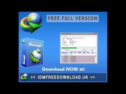 Yes, internet download manager lets you resume interrupted downloads without any loss of data. Internet Download Manager 6 32b5 Full Mgheavy