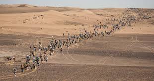 Trouvez des images de stock de sable du désert du sahara en hd et des millions d'autres photos, illustrations et images vectorielles de stock libres de droits dans la collection shutterstock. The Race Story 35eme Marathon Des Sables Site Officiel