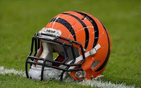 Cincinnati Bengals 2013 Depth Chart