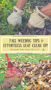 Ep 23 Fall Weeding Tips Effortless Leaf Clean Up Spoken Garden Weeding Tips Leaf Clean Up Autumn Garden