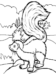 Skunk Coloring Pages Print Skunk Is A Mammal That Has Black And White Fur It Is An Omnivorous Animal Wh Animal Coloring Pages Coloring Pages Clip Art Library