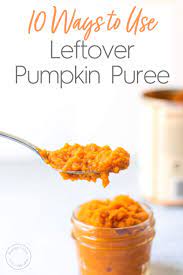 10 Easy Ways To Use Leftover Canned Pumpkin Puree Pumpkin Puree Recipes Pureed Food Recipes Canned Pumpkin Recipes