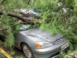 Resultado de imagem para VENTO CAUSA ESTRAGOS DE JARINU MICRO EXPLOSÃO