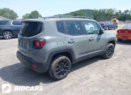 Image result for Sting Grey 2020 Renegade