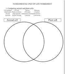 Maybe you would like to learn more about one of these? Fundamental Unit Of Life Worksheet 1 Comparing Chegg Com