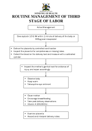 Image result for Active Management of Labor