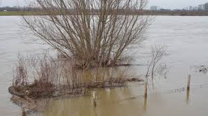 Het water komt net zo hoog als in 1993 en dat is zeer uitzonderlijk. Hoge Waterstand Maas En Geul Meer Vandaag