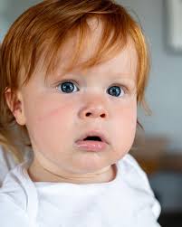 Tegan Steele Photography