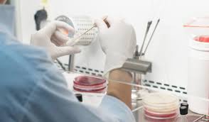 Swabbing Procedures Express Micro Science