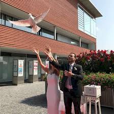 Die stadt, in der ihr feiern werdet, wisst ihr also schon. Hochzeitstauben Munchen Und Umgebung