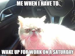 Most Funniest Work On Saturday Memes Image Quotesbae