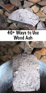 40 Ways To Use Wood Ash From A Wood Burning Stove Wood Ash Uses For Home Garden And Survival Historical And Ash Wood Wood Burning Stove Homestead Survival