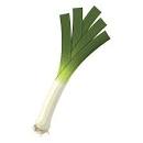 Image result for graphics of leeks