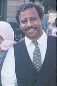 Hank Stone List of Movies and TV Shows