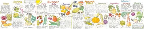 The Natural Store Liz Cook Wall Chart Seasonal Food Chart