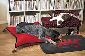 If i were keen to get a little teepee for my future cat, ikea is not the place i would head. Hangin On Bastis Krona Pet Bed From Ikea Pet Bed Kids Rugs Pets