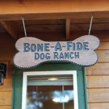 Focused on a doggy daycare business model where dogs had space. Homeward Pet Romp Roll With Bone A Fide Dog Ranch
