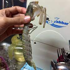 For more information and source, see on this link : Cara Siang Udang Lipan Lov3ly Clos3t