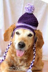 Pin On Golden Retrievers And Friends