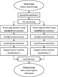 Diabetic retinopathy causes & types of diabetic retinopathy. Automated Detection Of Proliferative Diabetic Retinopathy Using A Modified Line Operator And Dual Classification Sciencedirect