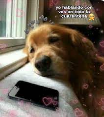 Pin De J E R O En Bebe 3 Memes Romanticos Frases Graciosas Frases