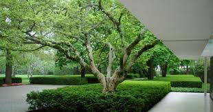 Dan Kiley Landscape Design House Landscape Modern Landscaping