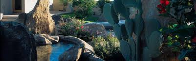 Desert environments 5821 e charter oak rd scottsdale az 85254 phone: Desert Environments Landscaping Service Proudly Serving Scottsdale Phoenix And Paradise Valley