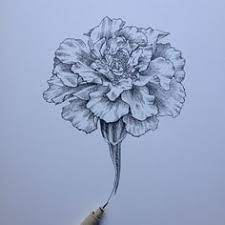 Image Result For Carnation Outline Tattoo Birth Flower Tattoos Carnation Flower Tattoo Carnation Tattoo