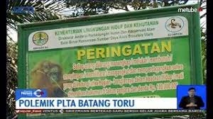 Adalah das sipansihaporas dimana seluruh hulunya berada di ekosistem batang toru dan menjadi sumber air untuk plta berkapasitas 50 mw. Video Amatir Rekam Kemunculan Orangutan Di Area Pembangunan Plta Batang Toru Bagian 1