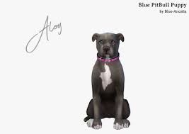 When your sim finishes crafting this treat it will appear in their inventory and you can click on the pet and choose to give them the vet treat and they will age up within a few seconds. Download Blue Ancolia Sims 4 Pets Sims 4 Pitbull Puppy