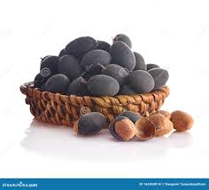 Image result for Dialium guineense