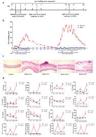 ijms october 2018 browse articles