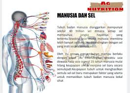 Tubuh badan manusia online worksheet for tahun 1. Facebook