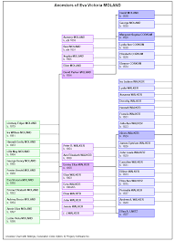 legacy family tree genealogy software descendant right to