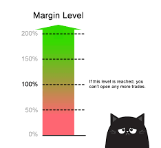 Free margin or usable margin is the difference between account equity and used margin. What Is Margin Level Babypips Com