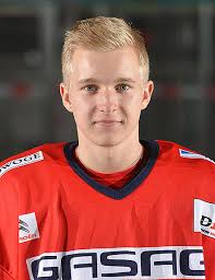 Aktuelle Eishockey Transfers der DEL, DEL2 und Oberliga